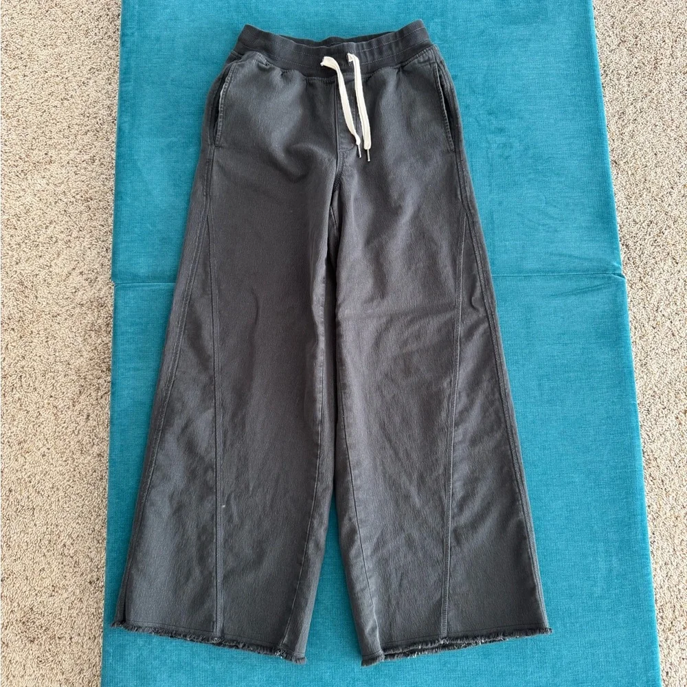 NWOT Aerie Soft Landing Trouser - Smoked Gray size Small - Picture 6 of 11